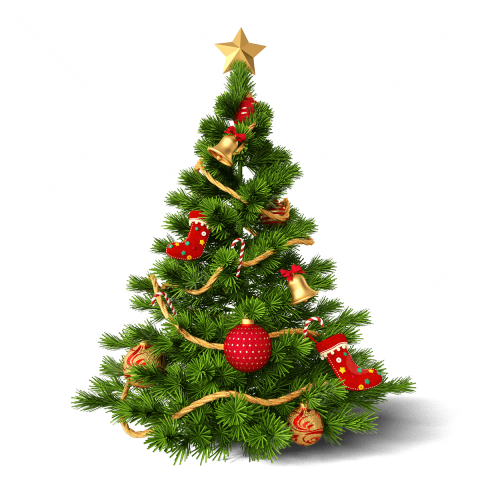 pngtree-christmas-tree-decoration-png-image_8628291